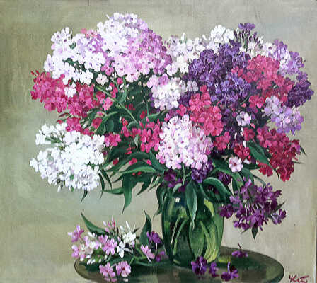 Кочетова Наталья Вениаминовна. ­Флоксы